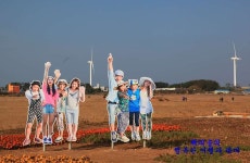 [안산] 수도권의 이국적 풍차가 시선을 끄는 청춘불패촬영지, 대부바다향기테마파크 - 안산팸투어 후기(포스팅) - 여행블로거기자단 [안산]... 