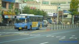 신설동->제기동 도보하면서 찍은 시내버스 - 버스 갤러리