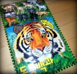 동물 백과 | 편집부 | 삼성출판사 - 예스24