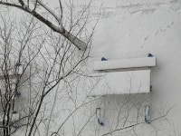 설경 - ─건강 웃음길 - 문학예술사이버대학 설경
