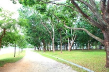 맛집 정보 검색 NO.1 사이트, 메뉴판닷컴 :: 맛집 정보가 가득