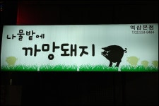 [서울역삼동맛집]제주도 흑돼지오겹살이 나오는 나물밭에 까망돼지 - 강남역 지역 추천맛집 나물밭에까망돼지 후기