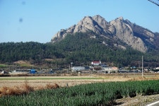 진도 봉암지와 세방낙조를 다녀와서... :: 토종붕어를 사랑하는 사람들