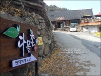 가평맛집 다믈촌 직접 키운 오디와 닭으로 만든 닭볶음탕