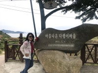 부산테마여행사