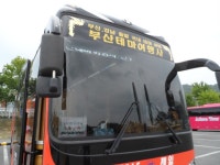 부산테마여행사