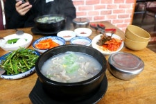 부산테마여행사
