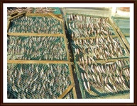 홍보마당 | 춘천시청