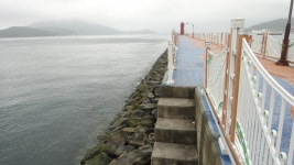 여객선 관광호텔 민박집 - 최고다 이순신 갤러리