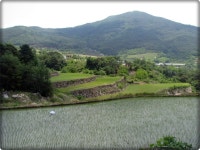 지리산둘레길 풍경사진 - 뽐뿌:자유갤러리 지리산둘레길 풍경사진