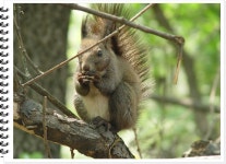 인천 송암미술관