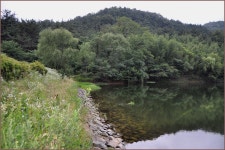 (반계지 )바람따라 구름따라 828회 :: 토종붕어를 사랑하는 사람들