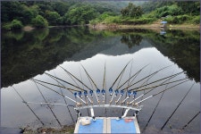 ( 신제지 )바람따라 구름따라 771회 :: 토종붕어를 사랑하는 사람들