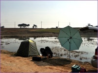 (신당제)바람따라 구름따라 647회 :: 토종붕어를 사랑하는 사람들