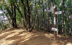 산행기 - 행경매기산, 피난봉, 출세봉, 소리산 - 경기 양평군 단월면 2009.10.01