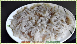 (東)동해조황 - 엑스포호,,참가자미낚시는 선상에서의 재미난손맛과 뼈채먹는세꼬시맛이 제일입니다.