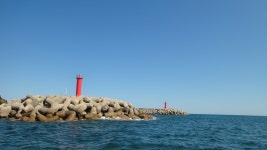 (東)동해조황 - 동해바다 양양 엑스포호에서 엄청나게 올라옵니다... 조황사진보시고 연락주세요... 양양엑스포호체험배낚시