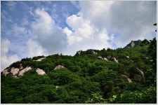 [산행기] 설악산 - 한계령에서 장수대(2013.06.30) - 등산 갤러리