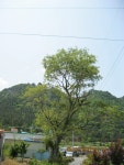 산행기 - 화성인 (華城人), 옥녀를 만나러 아름다운 사량도에 오르다