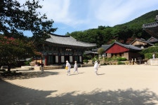 3대사찰 하나인 조계산 송광사 - ―····포토ノ풍경이미지 - 좋은 글과 좋은 음악이 있는 곳 3대사찰 하나인 조계산 송광사