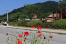 사람사는세상 노무현재단  