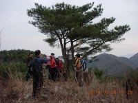 고찰과 송림(松林)의 운치에 빠져든 연화산, 남산 산행 1 - 등산 갤러리