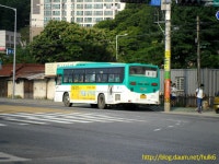 가평에서 찍은 Bus들 - 버스 갤러리