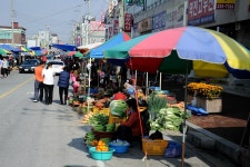 그~네 민물낚시 노지조행기 > 고수전을 마치고 주변의 예산 역전5일장을.... : 낚시사랑