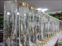 충북 문화관광형시장 제천약초시장 구경