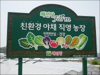 채선당 친환경 야채농장에서의 즐거운 체험