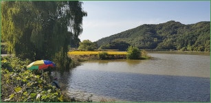 바람따라 구름따라 934회( 고내곡지) :: 토종붕어를 사랑하는 사람들