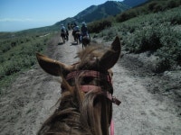 여행후기 참좋은여행