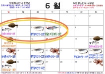 출조안내 - 고기잡아다가 팔아야겠습니다.~아사리판 레아아알 뷕사이즈~ 2일밤 출발6월3일11:59분 복사초 최고의 물때 빅마스터호 핵꿀잼... 