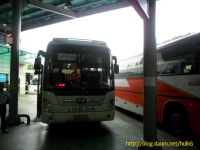 춘천시외버스터미널의 bus들 - 버스 갤러리