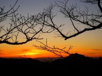 [출석부] 2011년 9월 9일 금요일 - 등산 갤러리