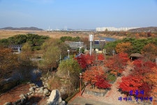 (안산여행) 자연의 놀라운 복원능력을 보여주는 국내최대의 인공 갈대습지인 안산 갈대습지공원 - 안산팸투어 후기(포스팅) - 여행블로거기자단... 