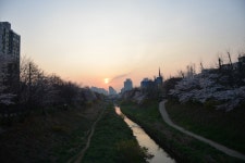 극스압2014년도여행기 오사카와 주변소도시 여행