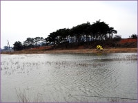 (신당제)바람따라 구름따라 647회 :: 토종붕어를 사랑하는 사람들