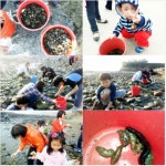 격포 -웰컴투죽막골 펜션으로 초대합니다.. - 펜션운영자 구함 - 펜션114 격포 -웰컴투죽막골 펜션으로 초대합니다..