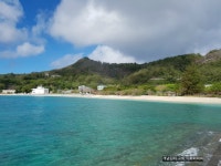 父島생활 54일: 섬 커피&쿠키, 야끼토리 세트, 감자 오징어젓(스압) | 음식 갤러리 父島생활 54일: 섬 커피&쿠키, 야끼토리 세트, 감자 오징어젓... 