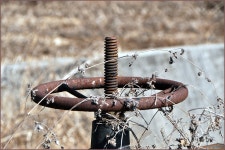 (연하곡지)바람따라 구름따라 566회 :: 토종붕어를 사랑하는 사람들