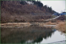 ( 대지수로 )바람따라 구름따라 788회 :: 토종붕어를 사랑하는 사람들