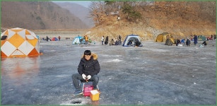 대경지부 번출 :: 토종붕어를 사랑하는 사람들