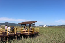 부산테마여행사