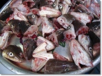 [통영]언제나 재밌는 시장구경_서호시장