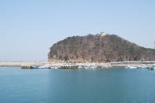 위도의 봄 - 자유게시판 출사코리아