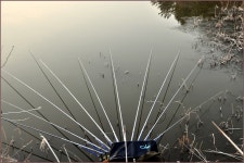 (연하곡지)바람따라 구름따라 566회 :: 토종붕어를 사랑하는 사람들