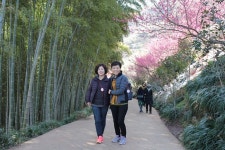 부산테마여행사
