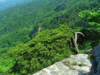 산행기 - 돌아선 아들녀석 어찌 할거나
