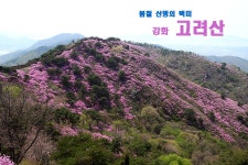 강화 고려산 후기 - 뽐뿌:등산포럼 강화 고려산 후기